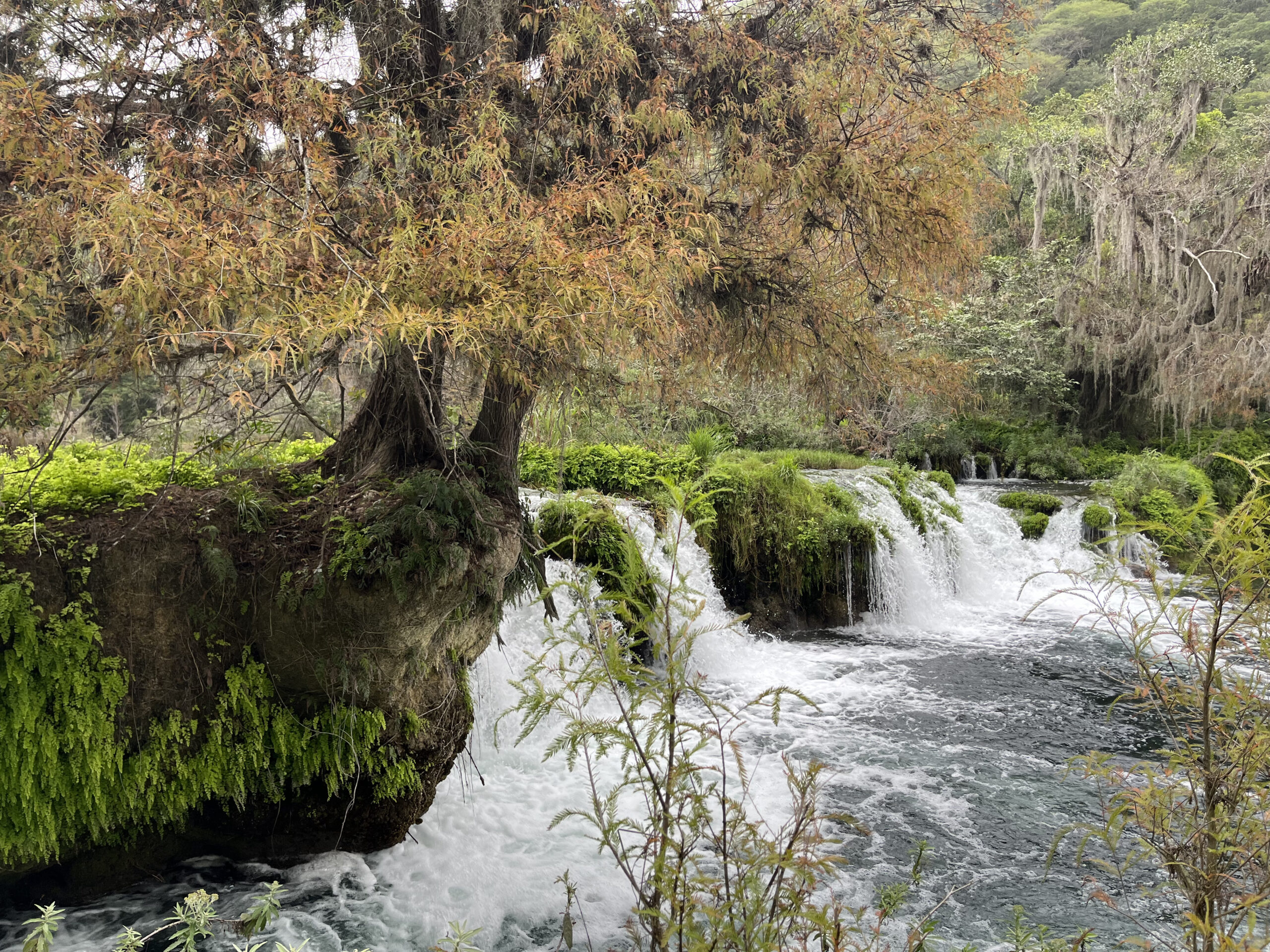 Rancho El Aguacate