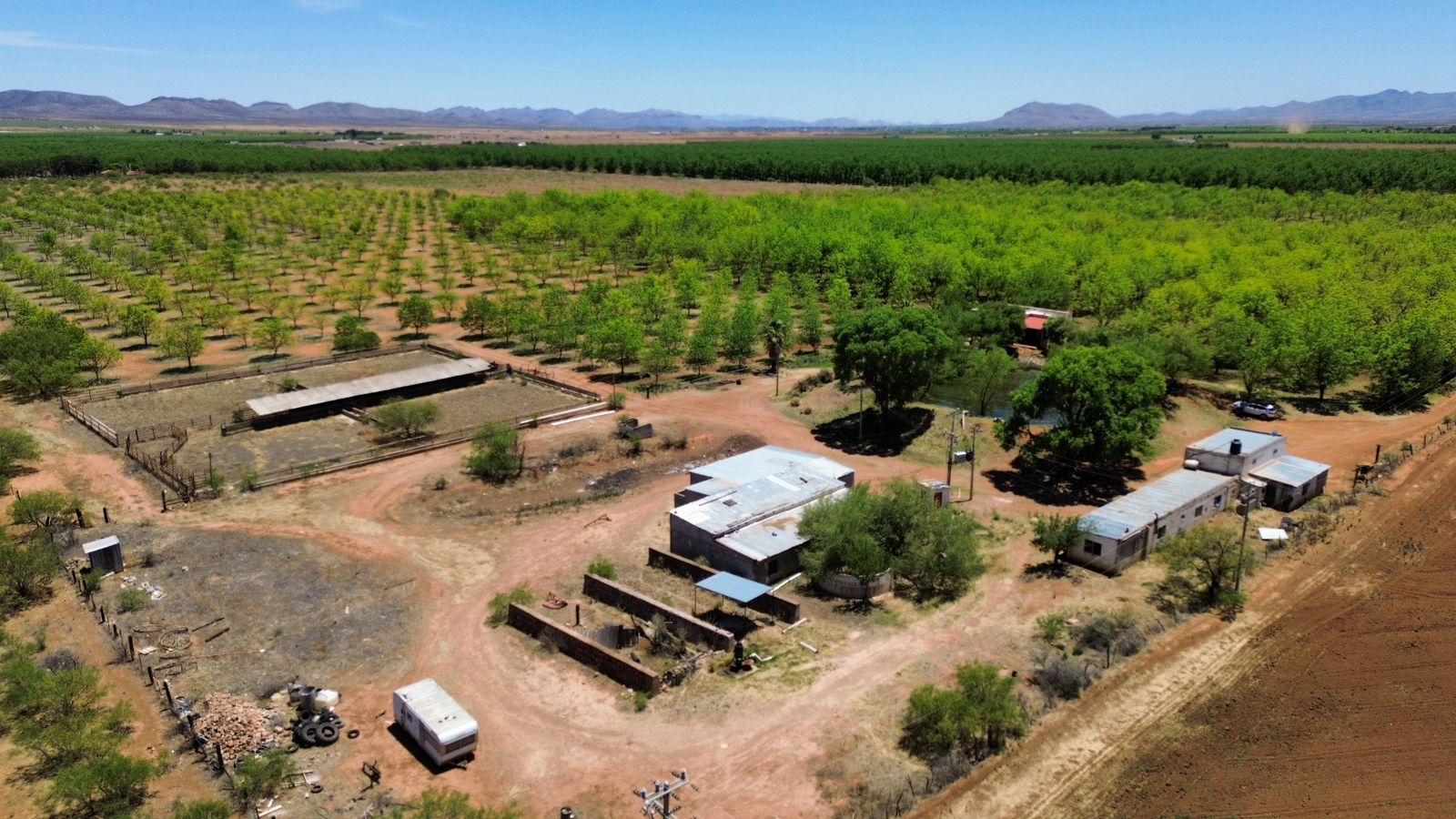 Huerta Nogalera en Salida Juárez